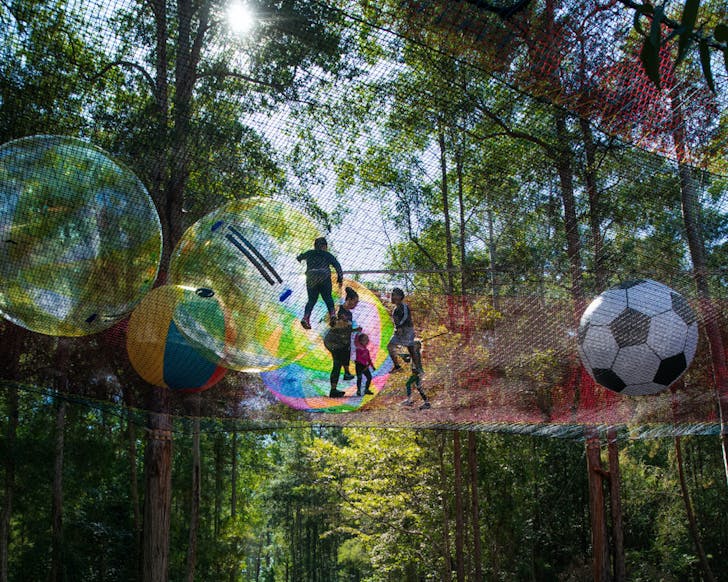 treetops adventure course sydney 