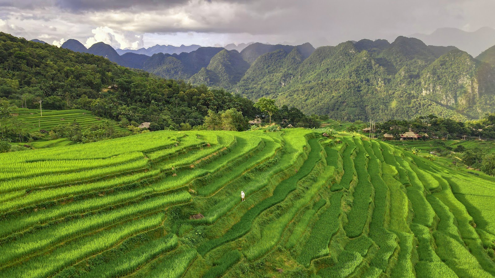 Khu bảo tồn thiên nhiên Pù Luông
