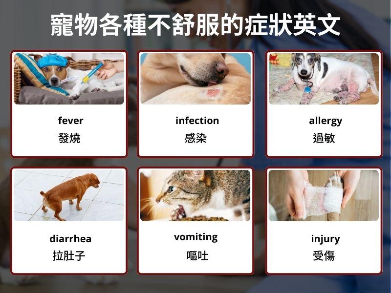 一張含有 文字, 哺乳動物, 螢幕擷取畫面, 狗 的圖片

自動產生的描述