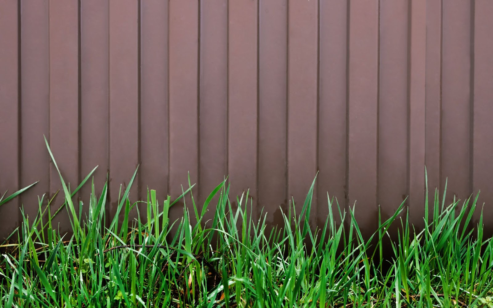 A wooden fence with grass growing near it. 