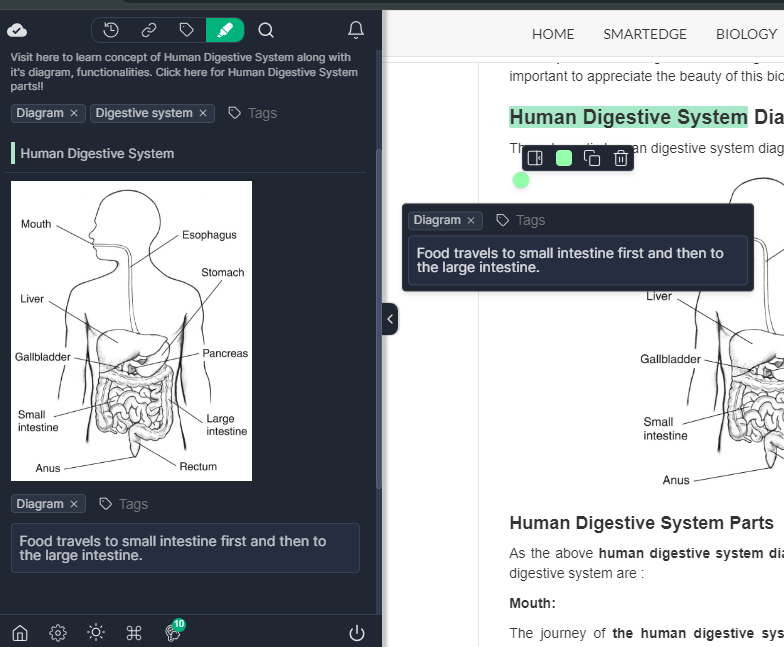 image-highlights