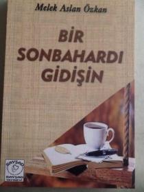 Bir Sonbahardı Gidişin