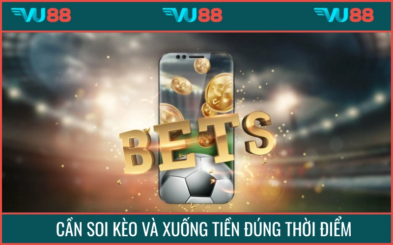 Cần phân tích, xuống tiền đúng thời điểm