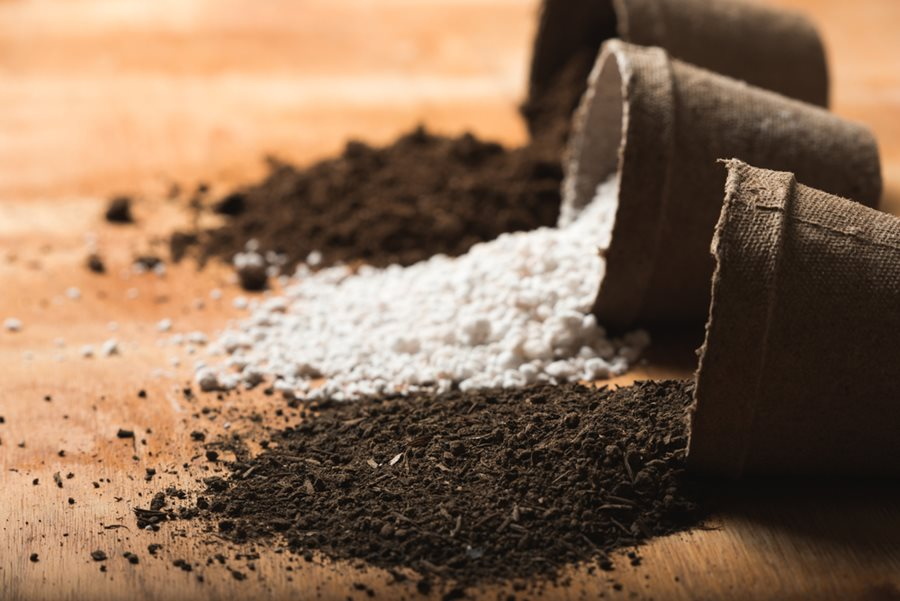 Types of Potting Soil