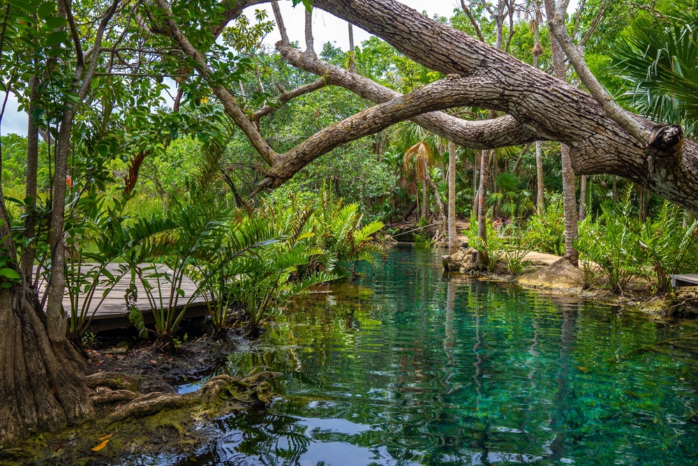  zazilha-mexico