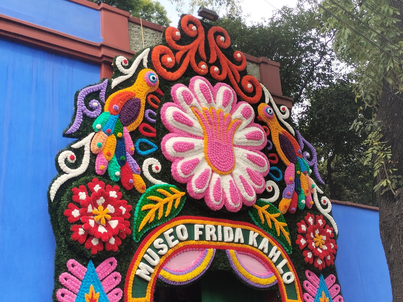 Imagen que contiene colorido, tabla, teléfono, sostener

El contenido generado por IA puede ser incorrecto.