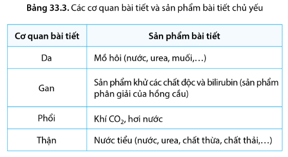 BÀI 33 - MÔI TRƯỜNG TRONG CƠ THỂ VÀ HỆ BÀI TIẾT Ở NGƯỜI