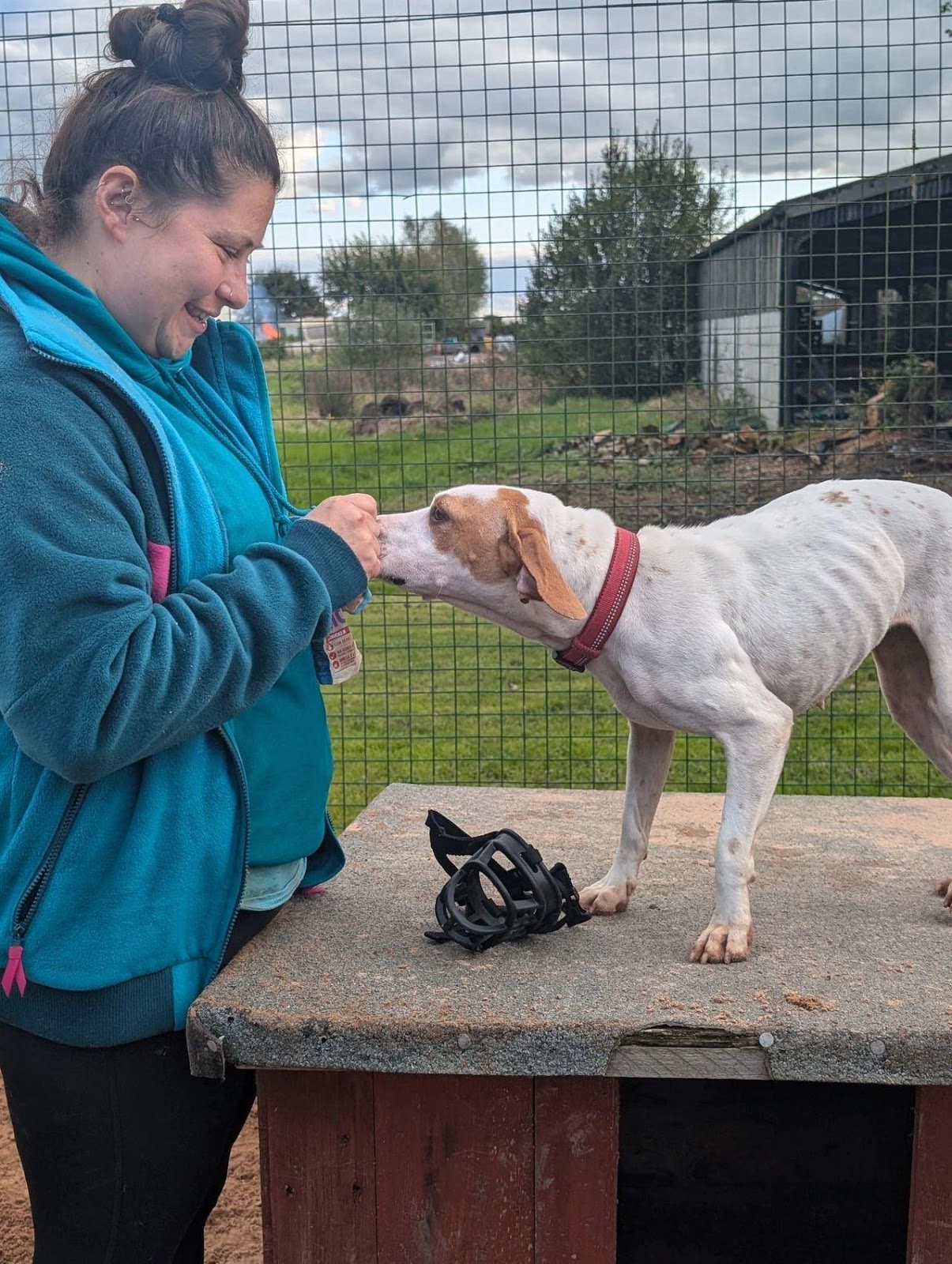 Hannah with Dottie after her muzzle training session