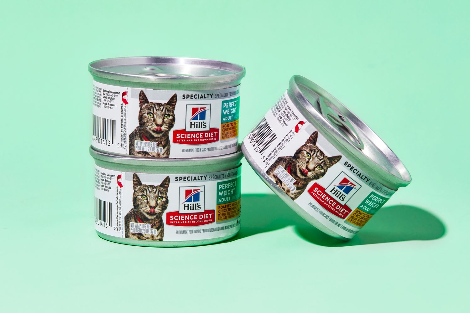 wet canned cat food