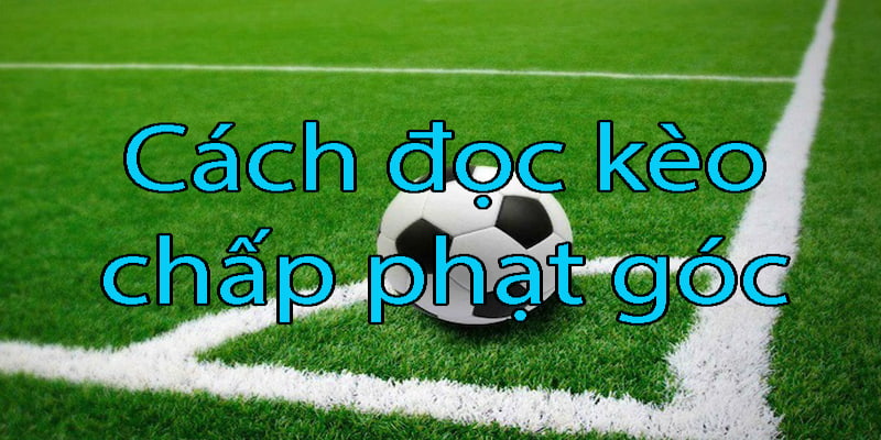 AD 4nXdWgBlUWcXEuNawueKivPZnEhtrgm0uiL7Q8rlgxoTgobM3hAmNQX525x lf ecIZWm7m