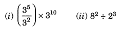Exponents and Powers Class 7 Extra Questions Maths Chapter 13 Q10
