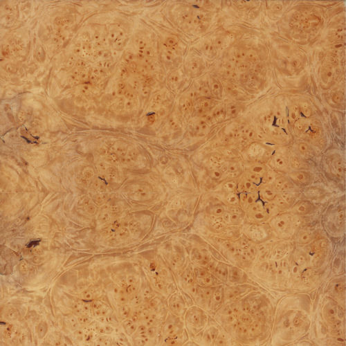 A close-up of a wood grain

Description automatically generated