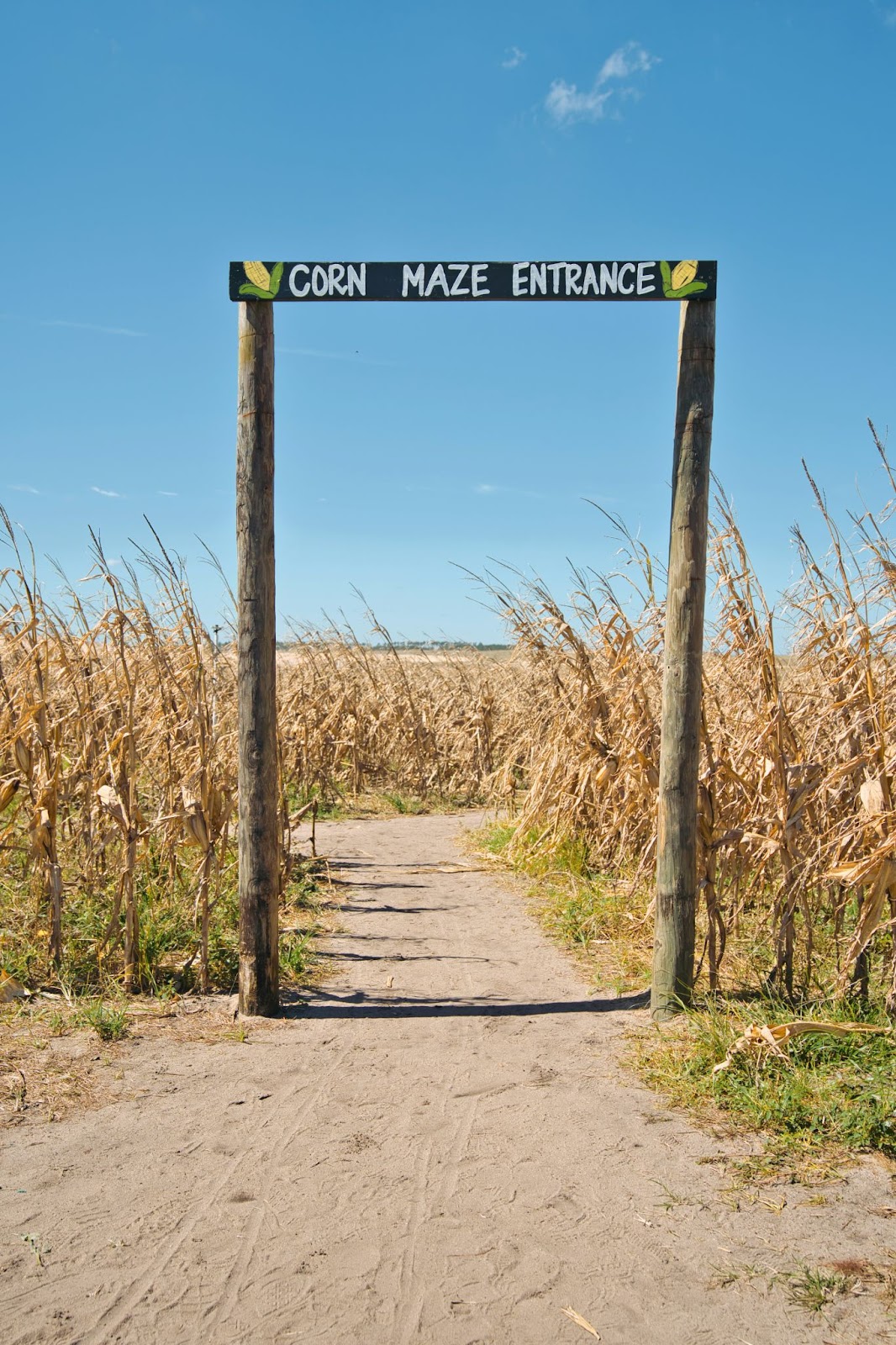 Corn maze sign