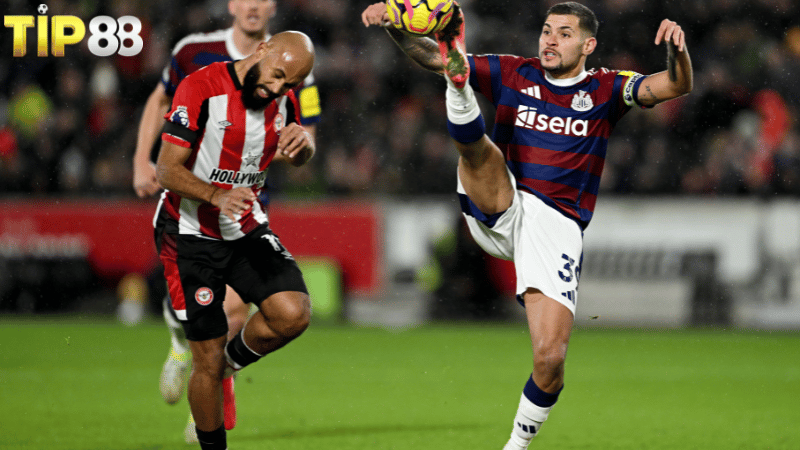 Lịch sử đối đầu Newcastle vs Brentford