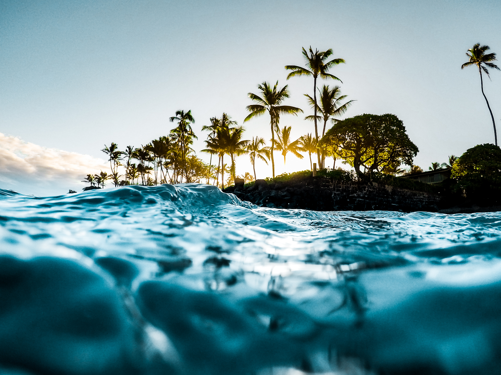 Nature Topia