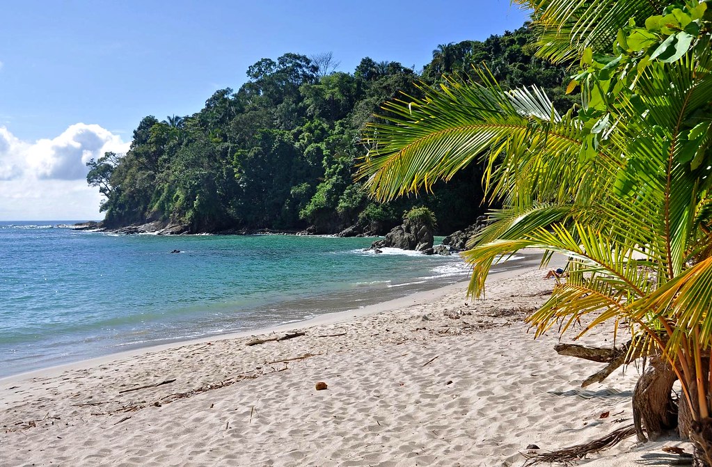 Clear and clean water and white sand on the beach and there are lot of trees near beach 