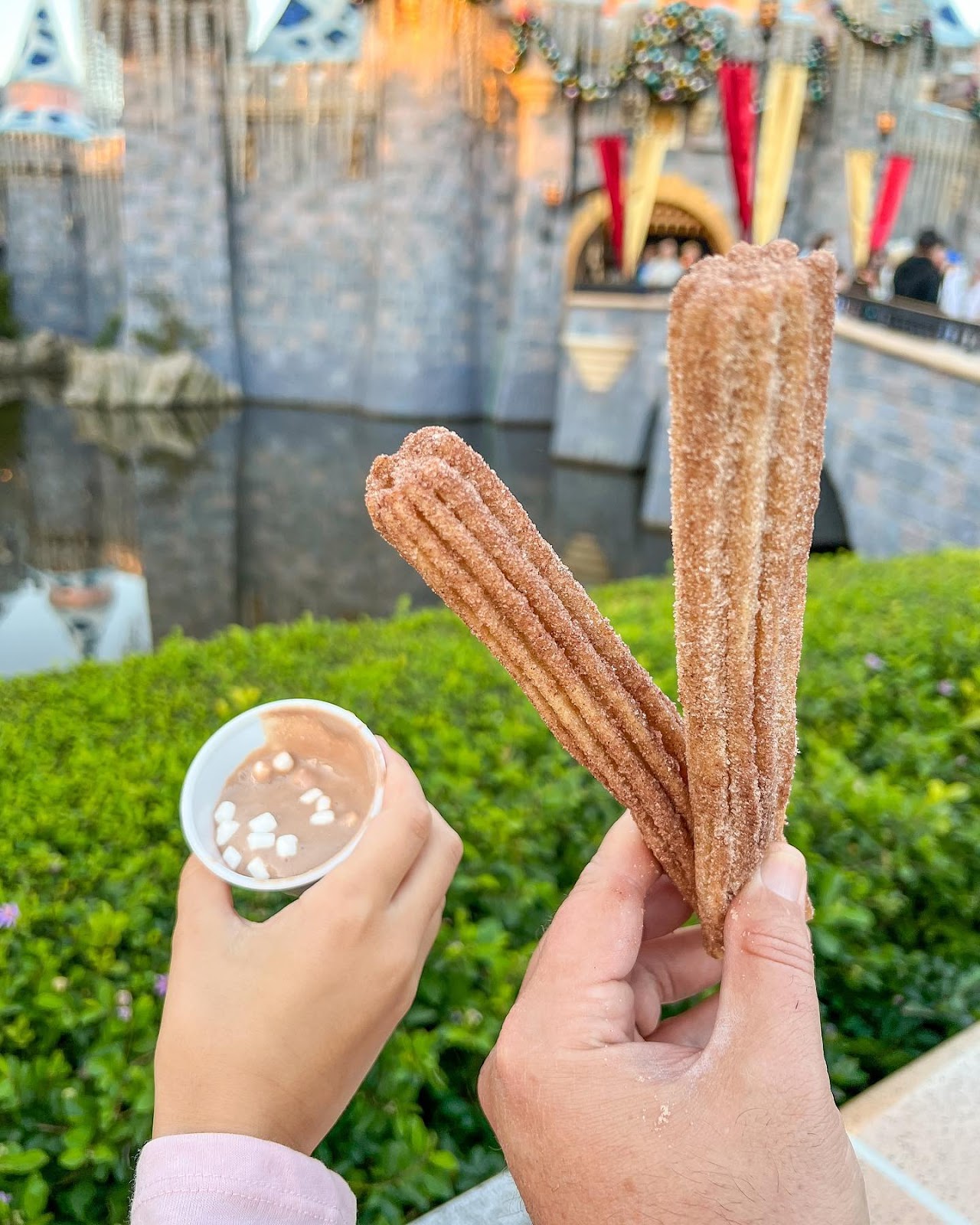 Churros and Hot Chocolate at Fuente Del Oro Restaurante