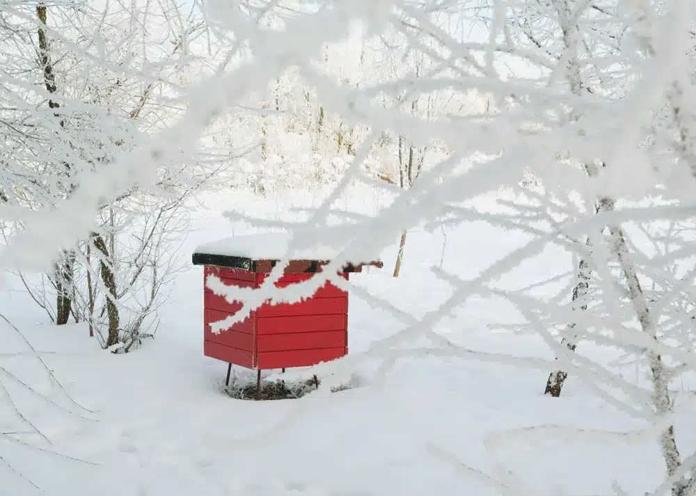 Isolation, condensation et ventilation dans les ruches : comment protéger nos abeilles - APICULTEUR DÉBUTANT