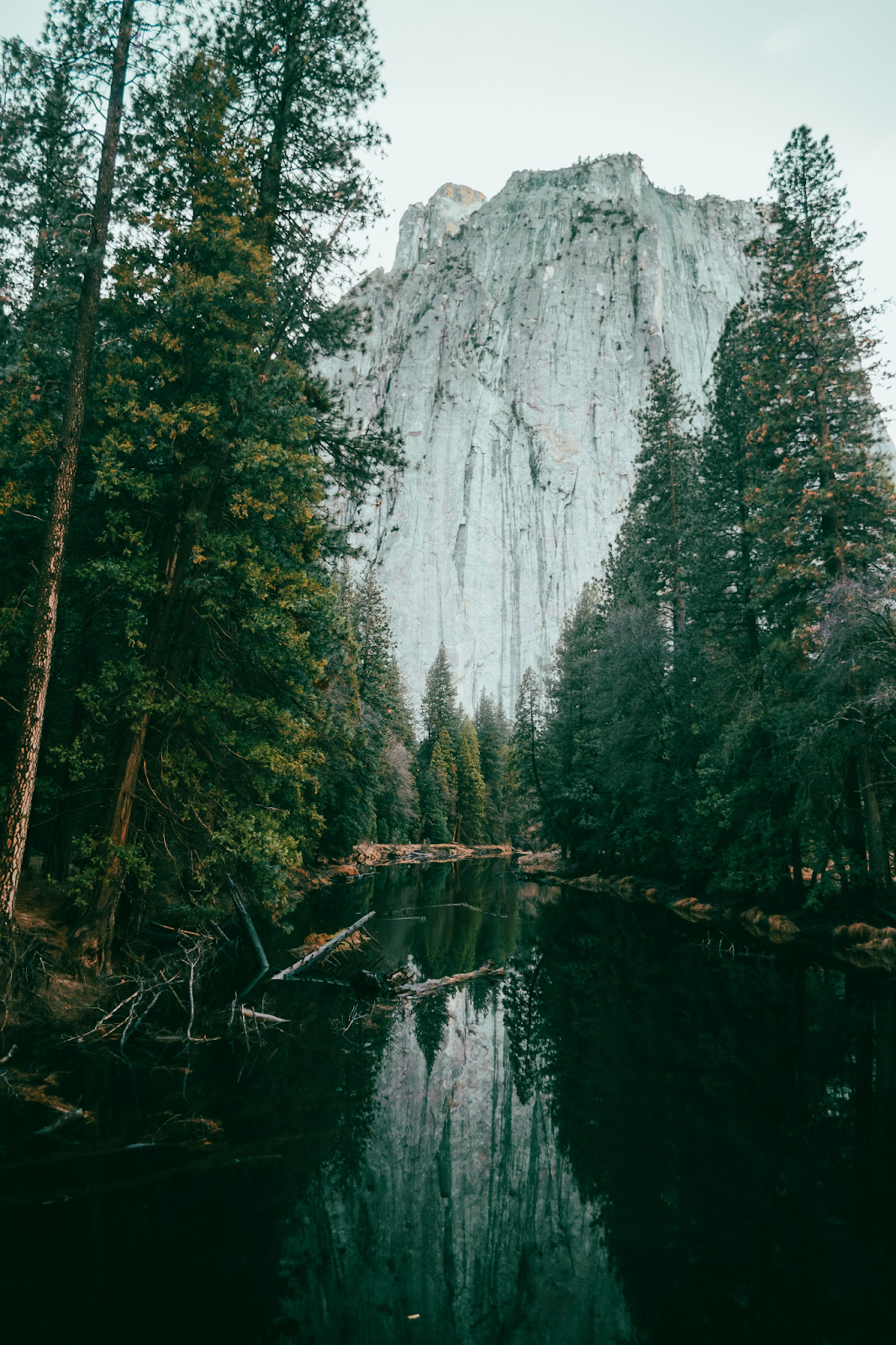 Image from the Yosemite: Capturing Nature’s Majesty Through Photography article on Abduzeedo