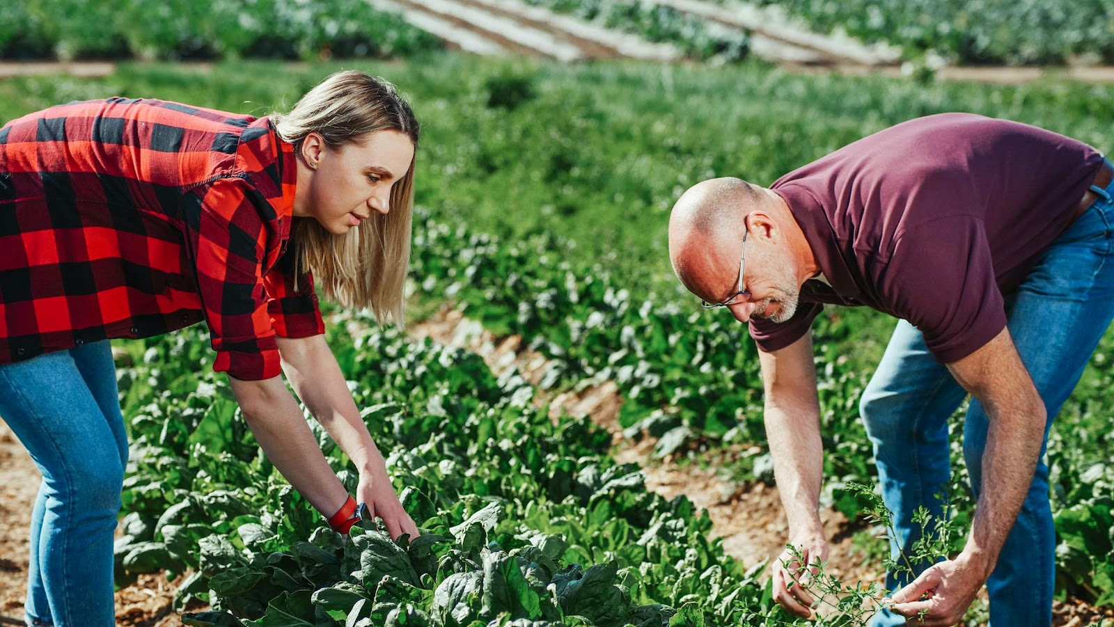 A man and a woman working on a farm | Source: Pexels