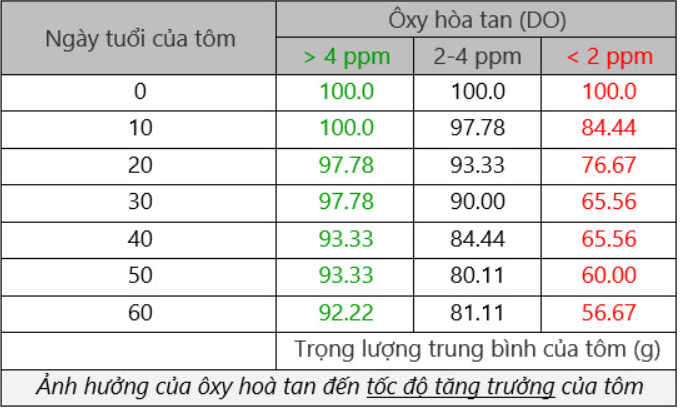 AD_4nXdXRsLKF4IF6mAESFUThqMK86TEEfAHYWugOcvjipzU1N95yUHC148PVO1oXlGCzxvvEOg7B_IKvEoRd31WCMXKqC8oGrFfmQ-C3vjKhJy-7o5eaOz1lNWwOtQWWJ3iDQwC6ecqaOJDwQgZb8TdOTVdEmQe?key=Rb5fnRjYENAaTw0bkgyrjg