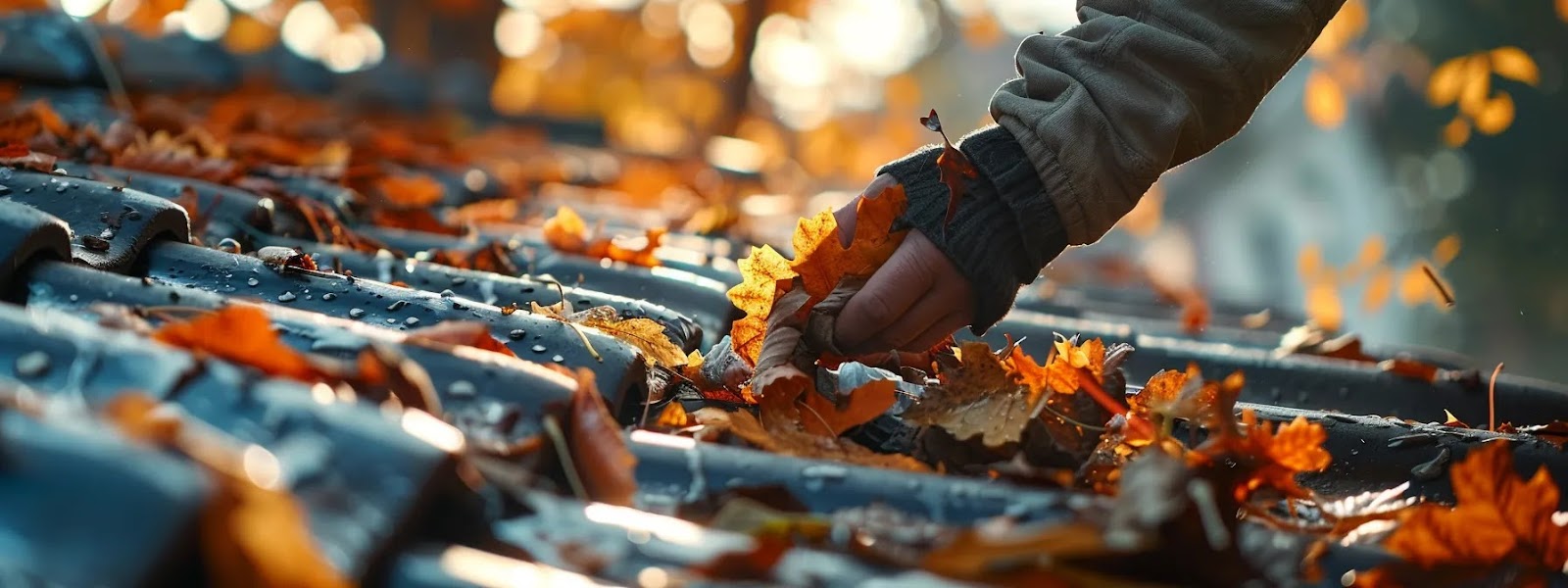 a person clearing out leaves and debris from a roof gutter.