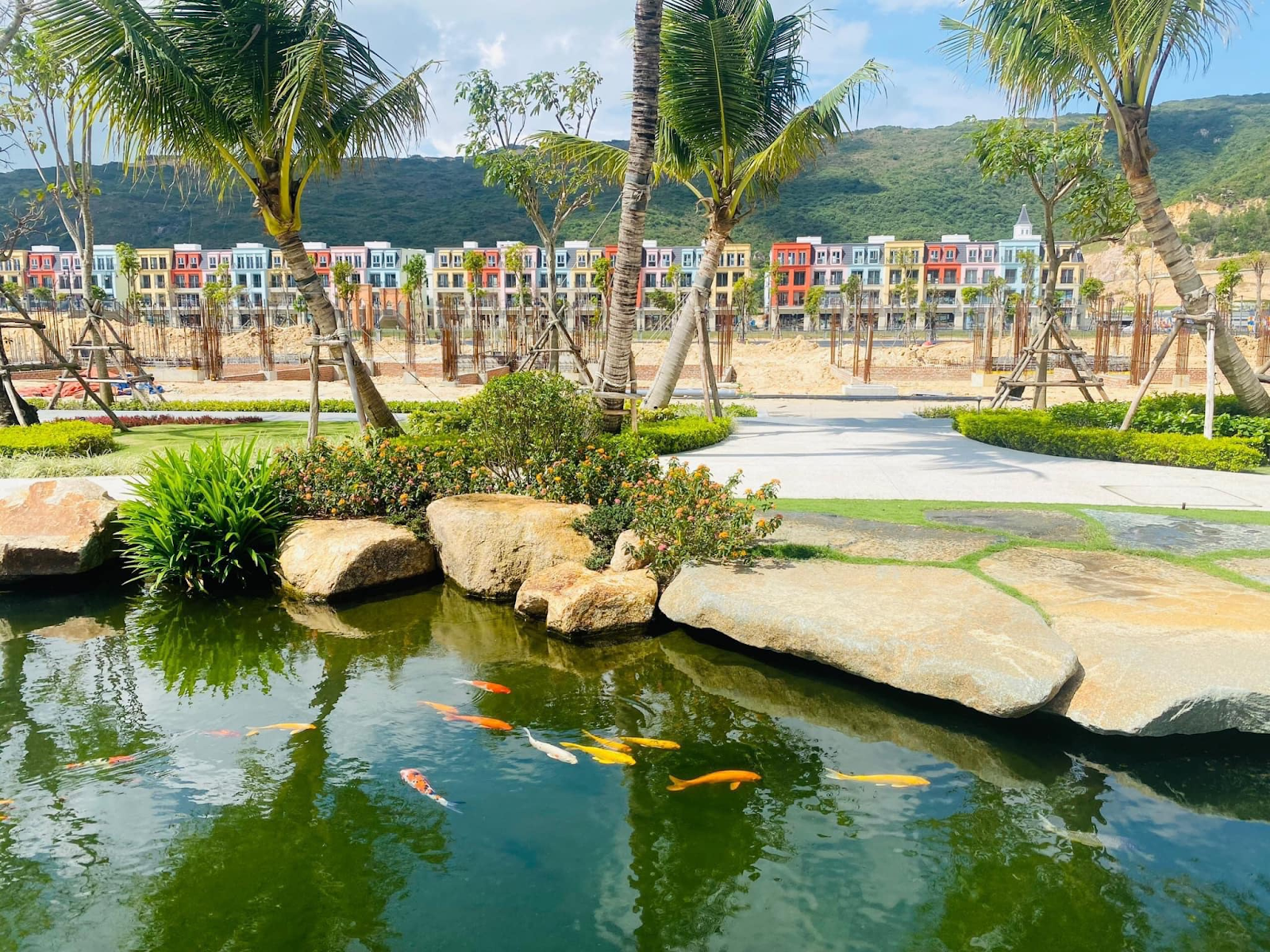 Ảnh thật dự án 2