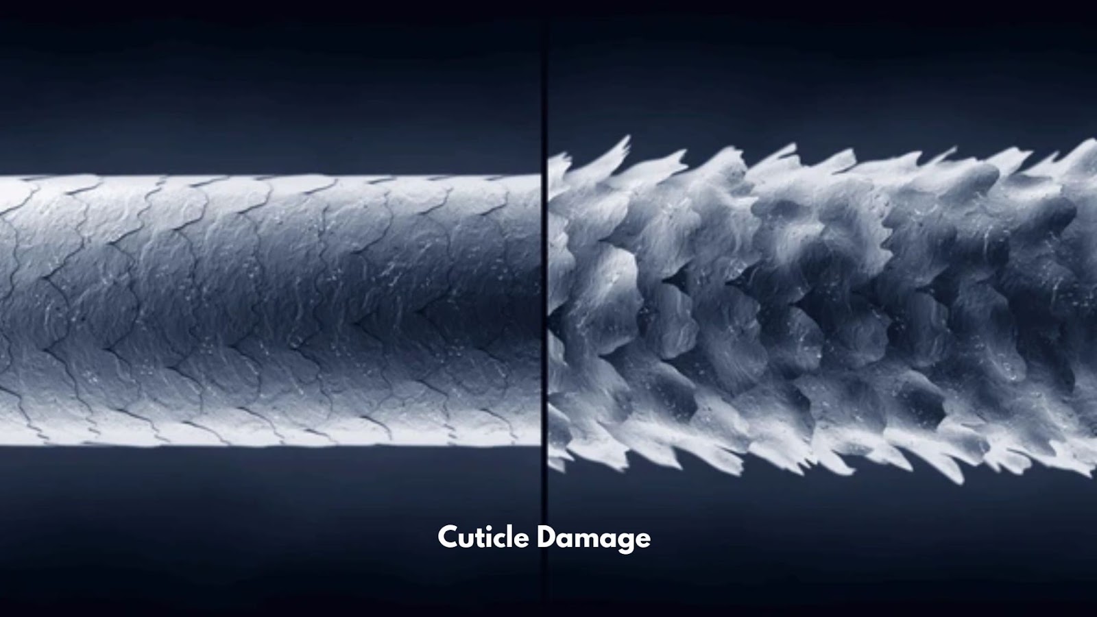 How to fix split ends