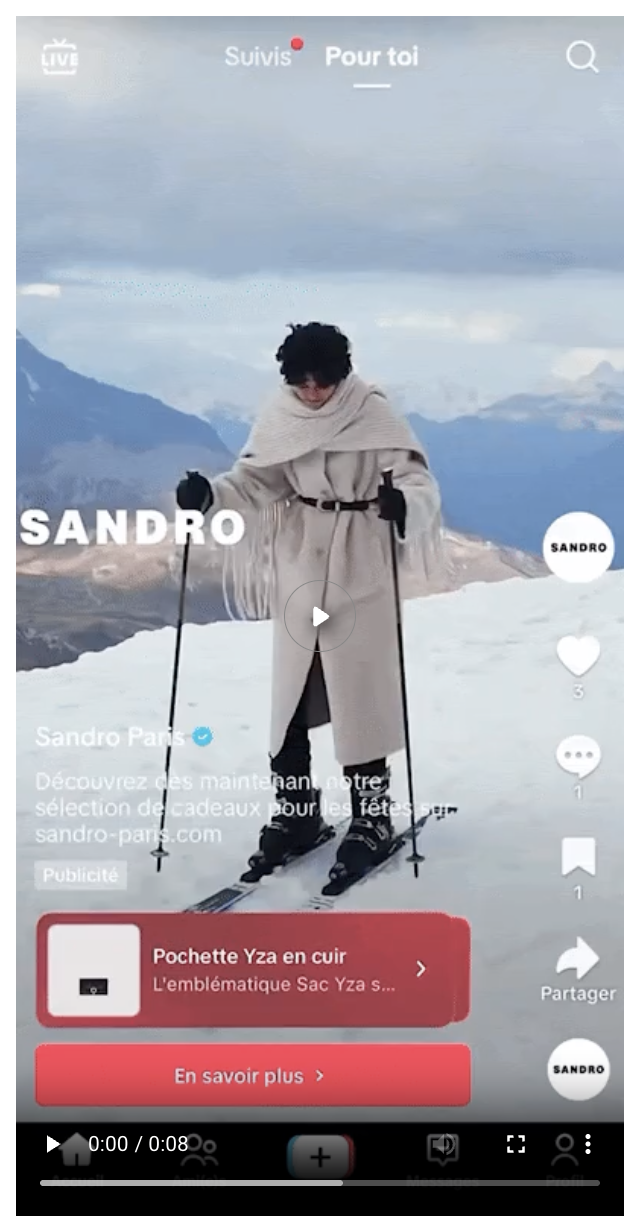 TikTok ads example