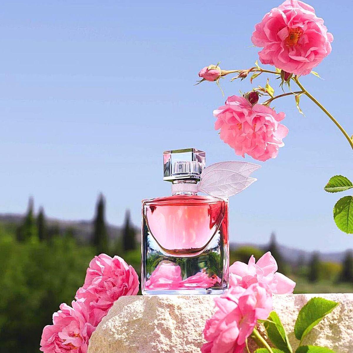 A Fragrant Trip of Roses Through Perfumery - Article onThursd