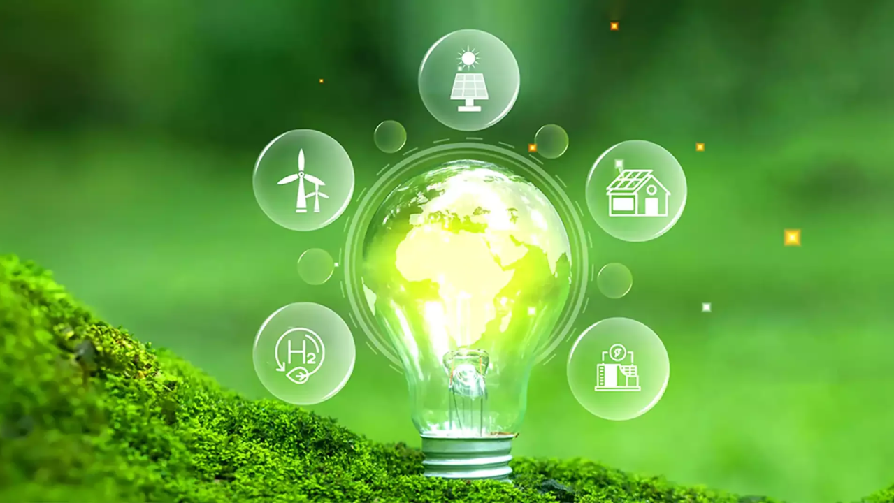 How Do I Reduce My Carbon Footprint at Home