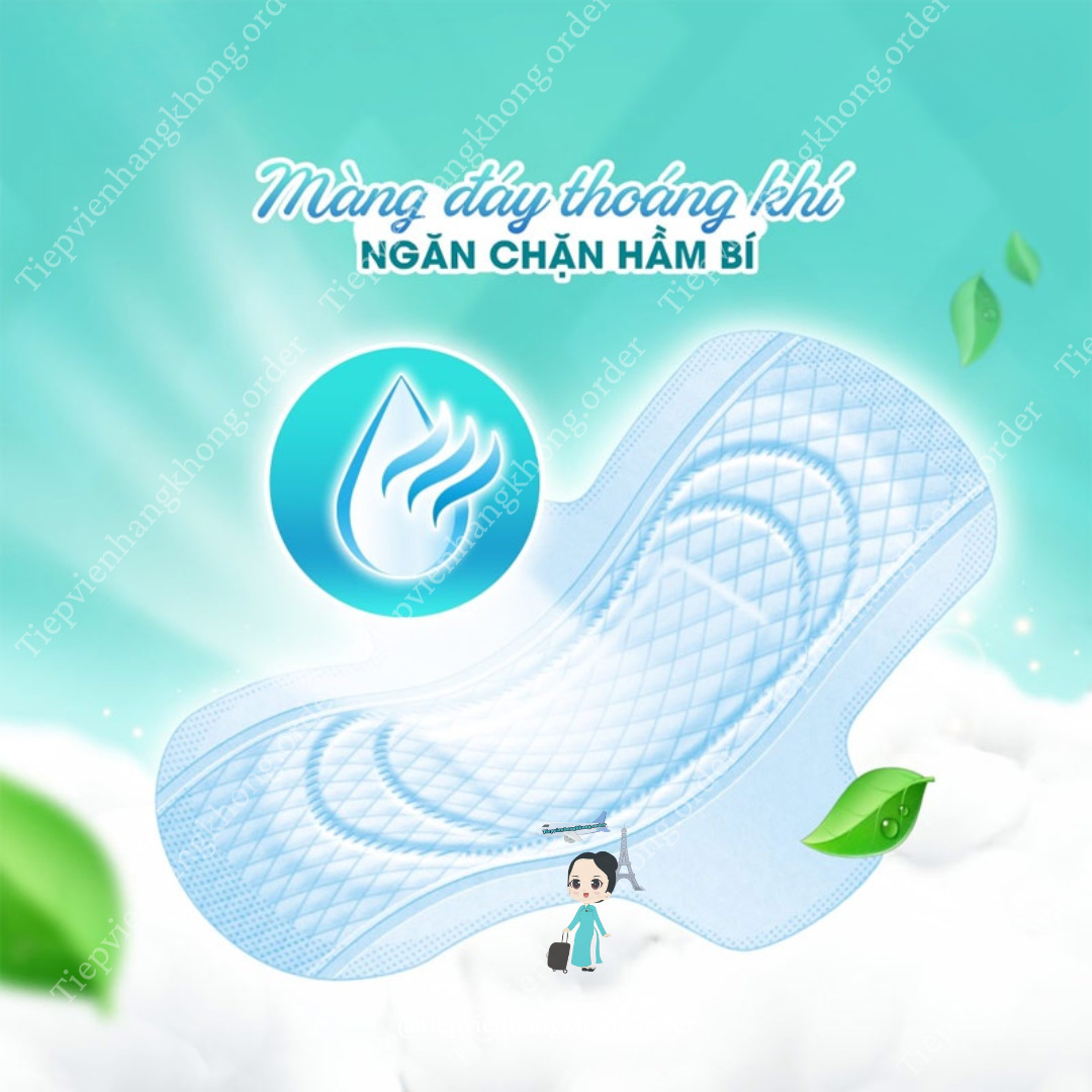 băng vệ sinh ngày