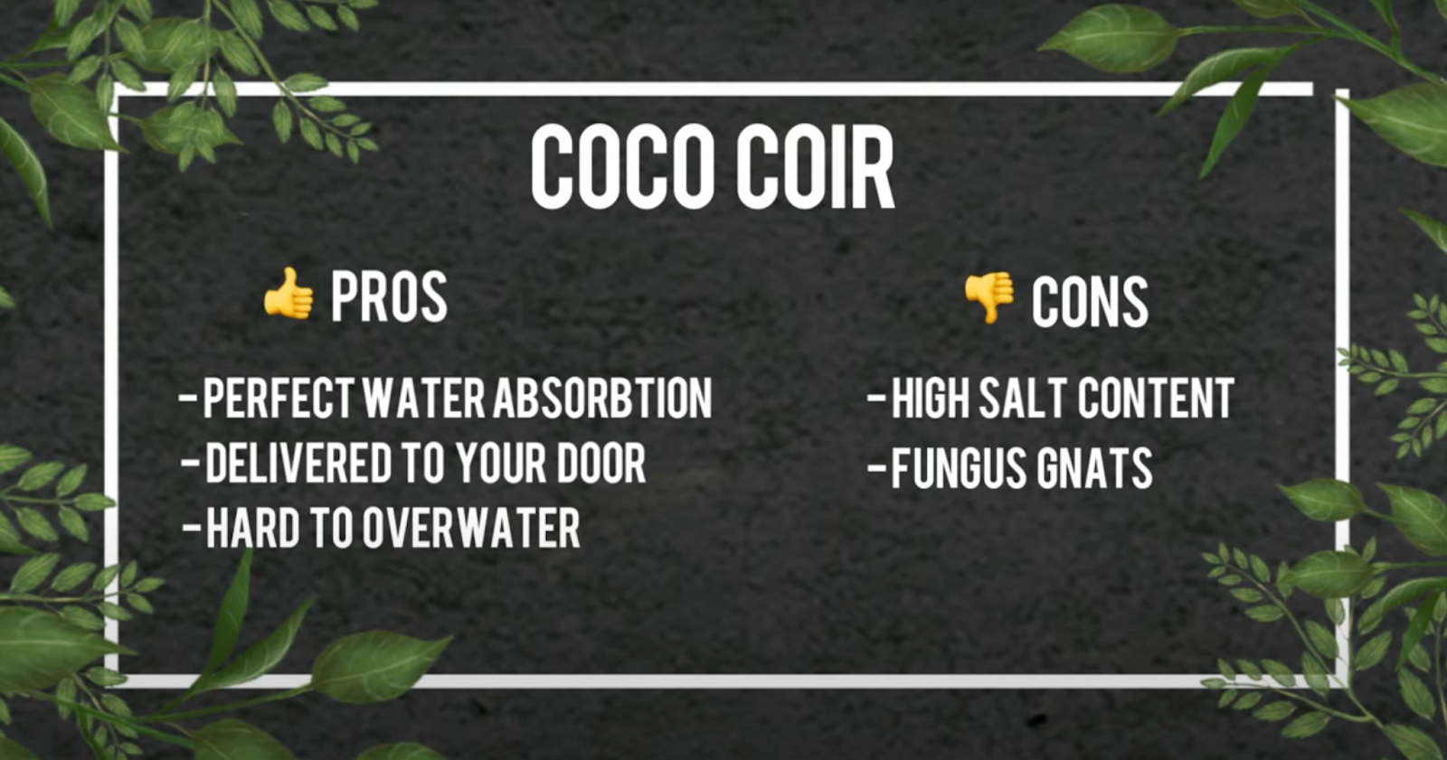 coco soilless pros and cons