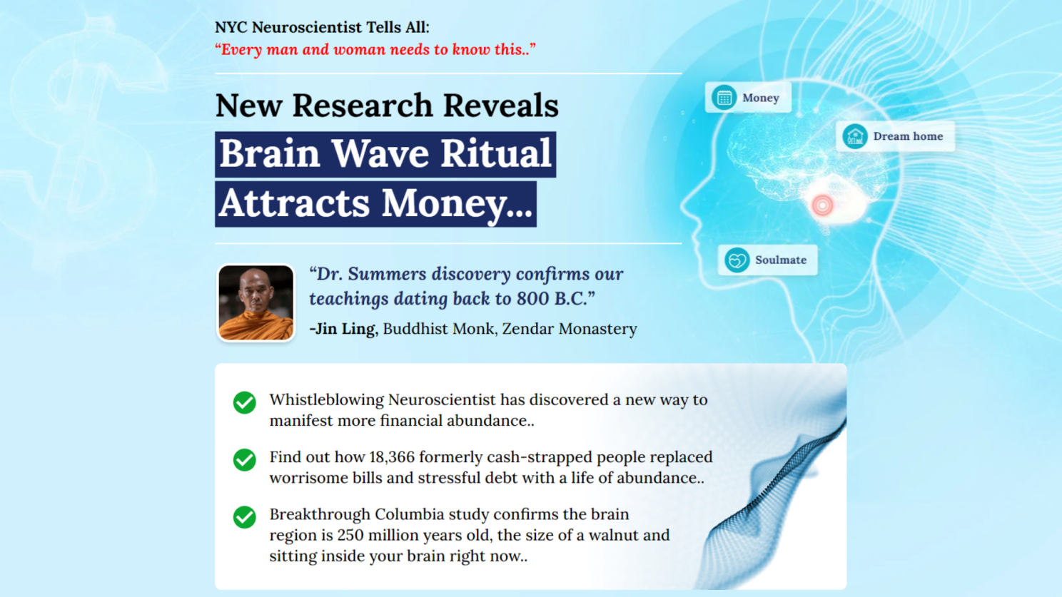 an image of the billionaire brainwave homepage