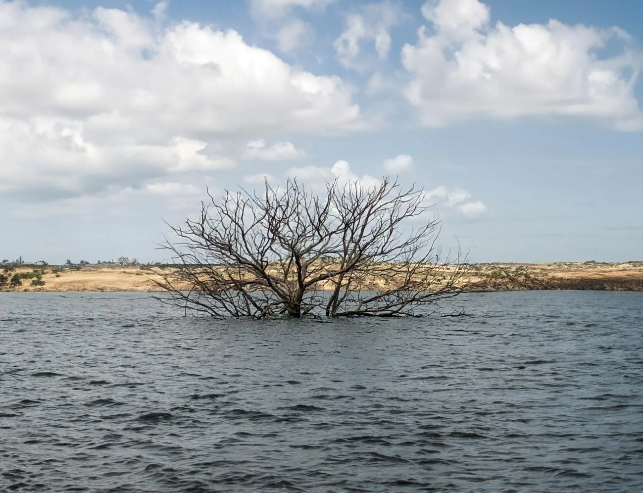 Água com árvores ao fundo

Descrição gerada automaticamente