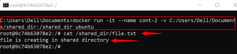 create a second docker container
