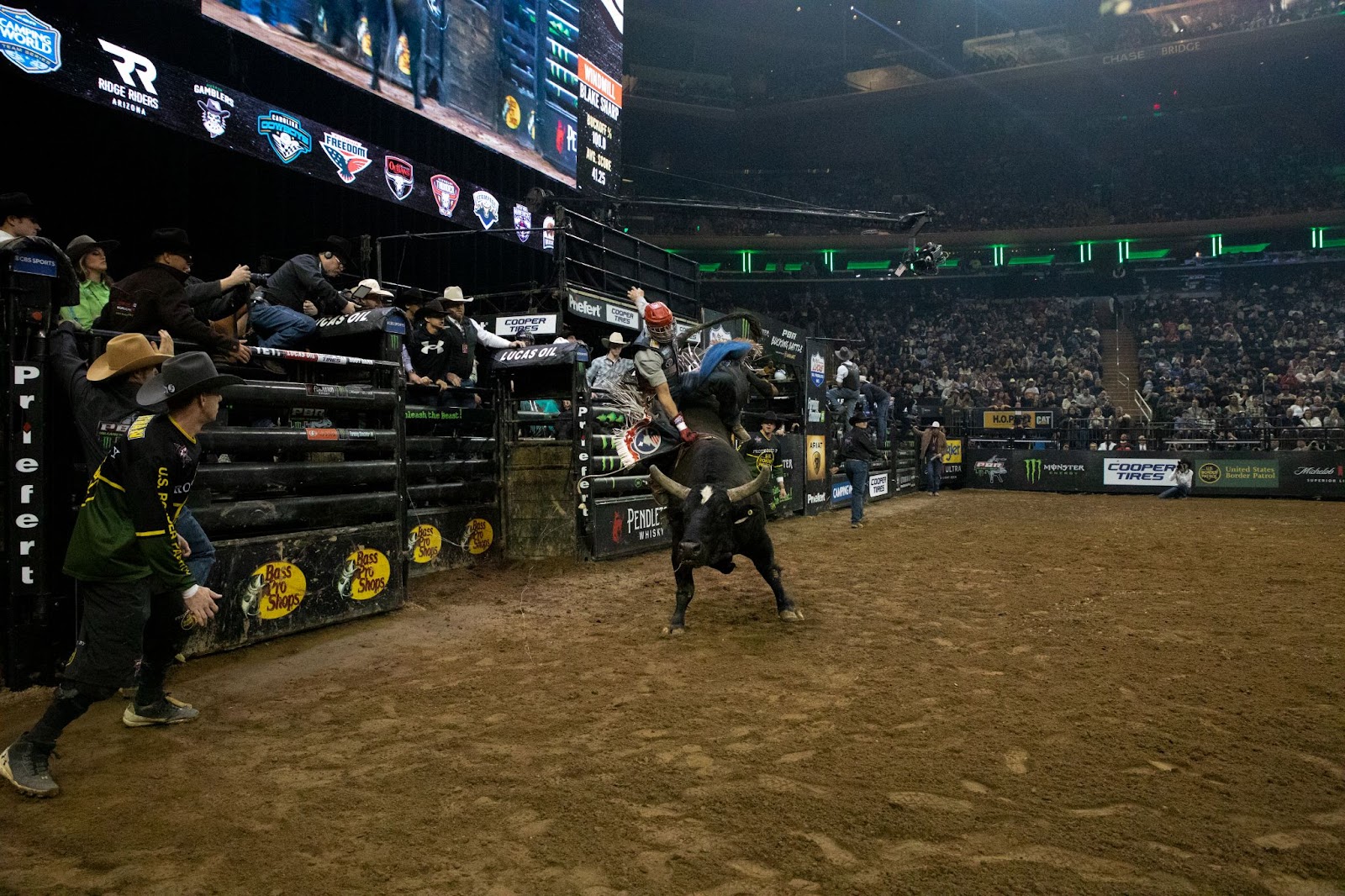 Rider is thrown sideways by bucking bull near starting gate.
