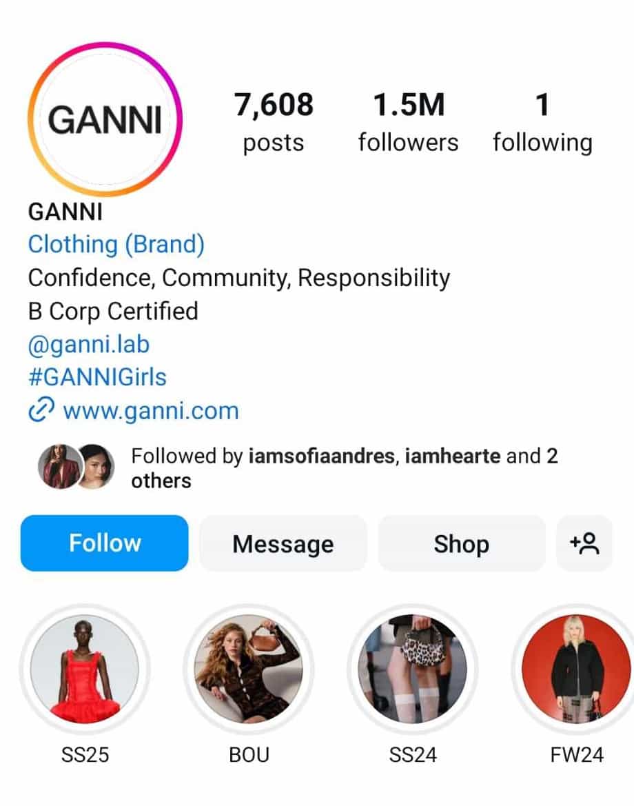 The Top Online Clothing Boutiques from Instagram - Ganni