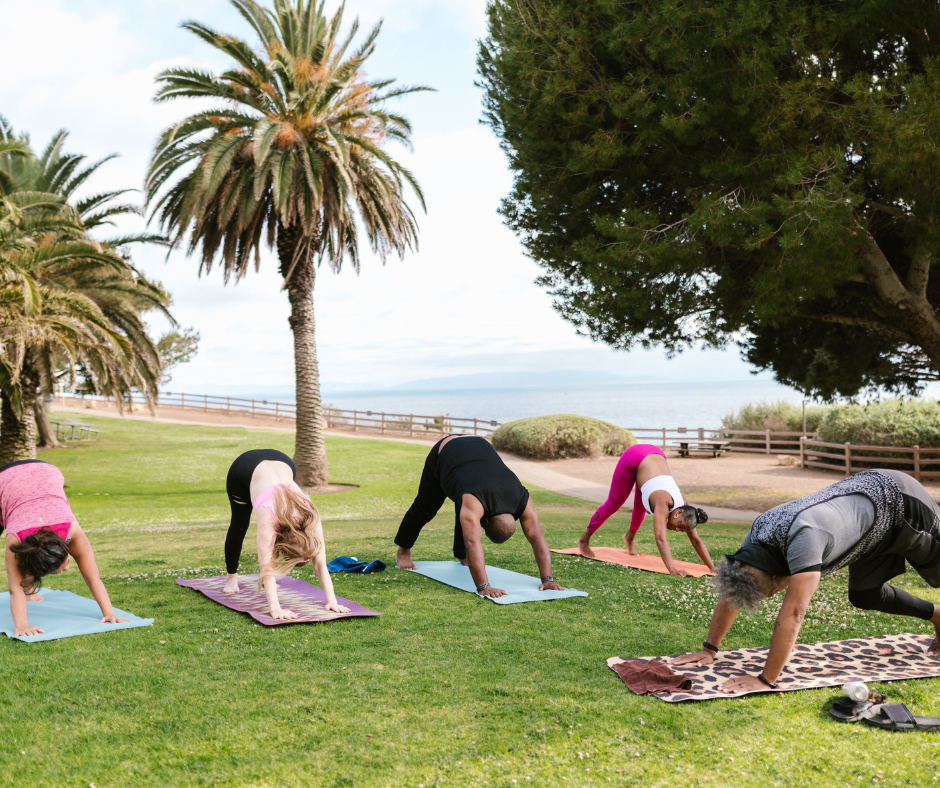 Become a Yoga Teacher