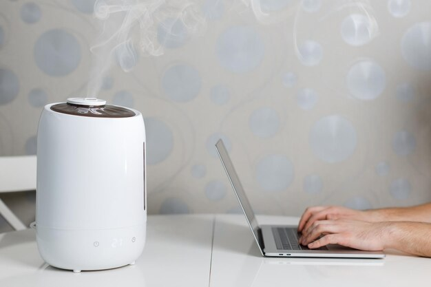 Air purifier vs humidifier 