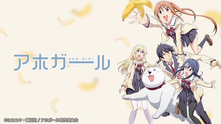 Aho Girl