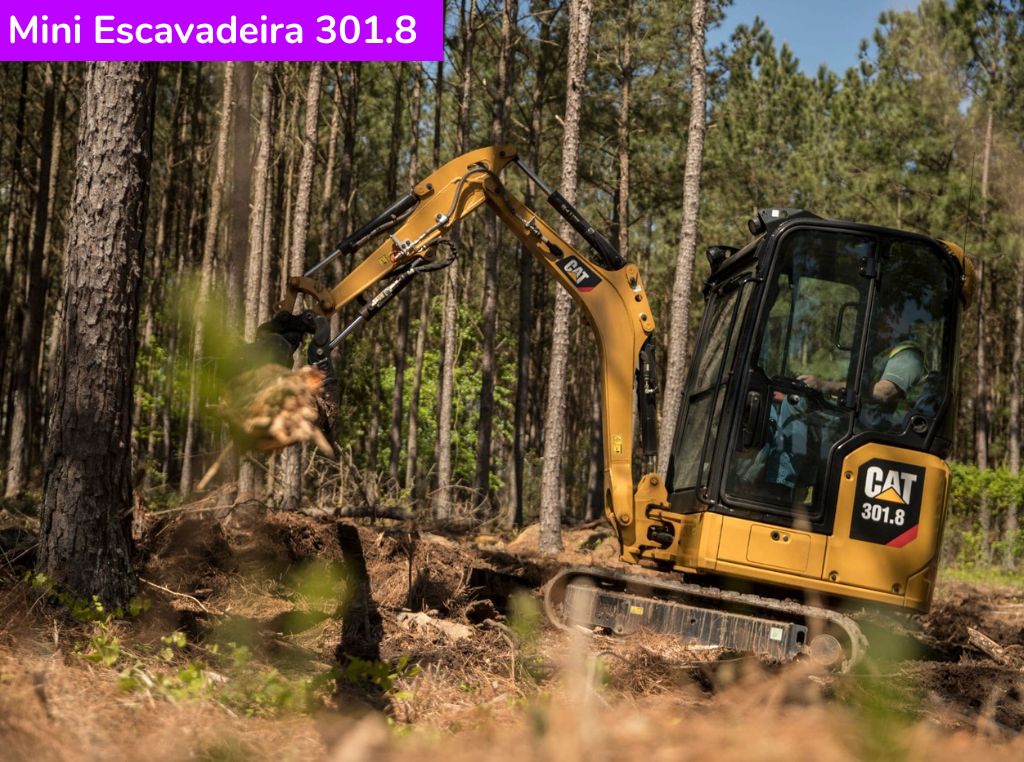 Catálogo Mini Escavadeira 301.8 Caterpillar