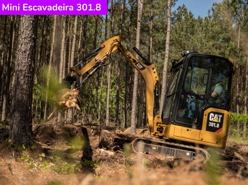 Catálogo Mini Escavadeira 301.8 Caterpillar