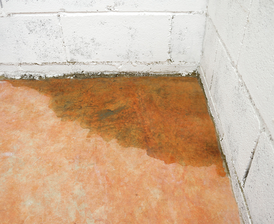 Tile Repair vs. Tile Floor Replacement: When Should You Opt for Each?