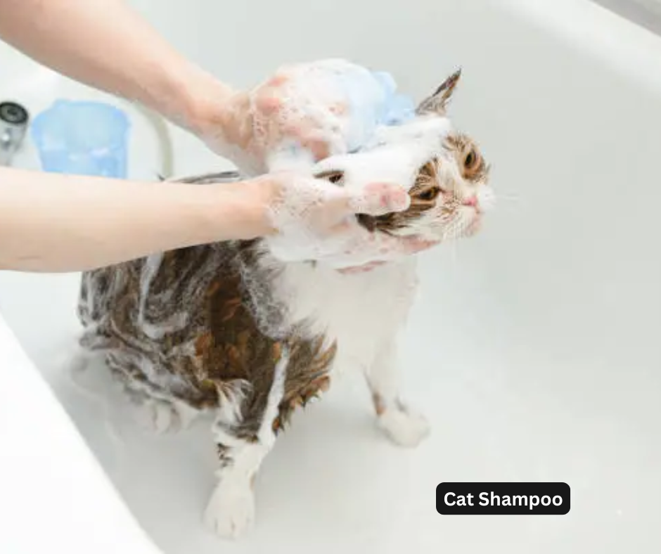 Cat Shampoo