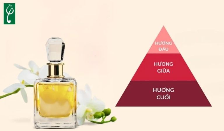 Tinh dầu nước hoa sở hữu ba tầng hương đặc trưng