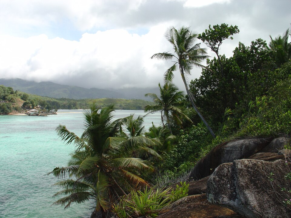 Lush tropical coastline with palm trees and granite boulders overlooking turquoise lagoon, showing the natural beauty developers wanted to commercialize.