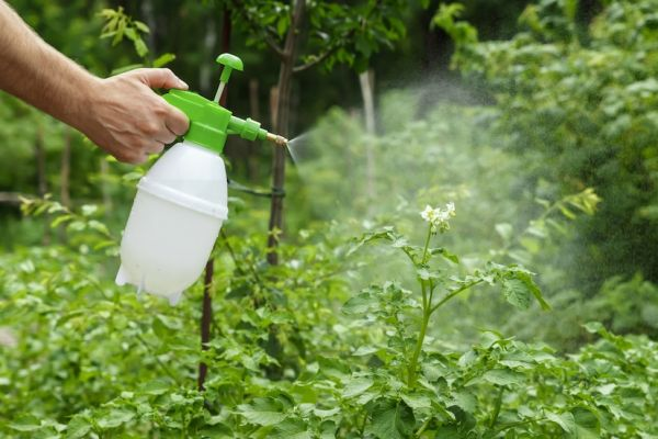 Liquid Fertilizers