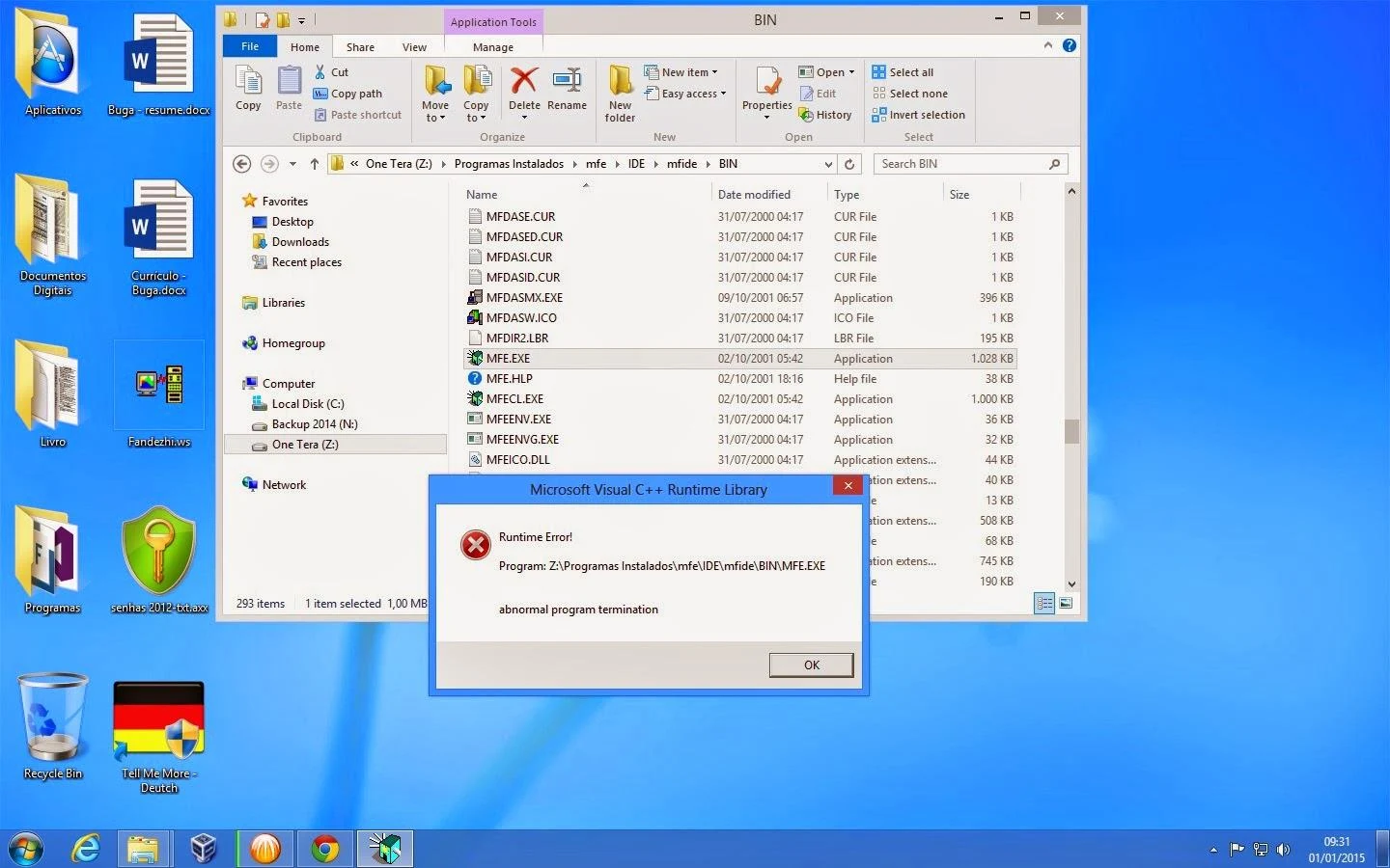 Microsoft Visual C++ Runtime Library - Runtime Error no MFE.EXE