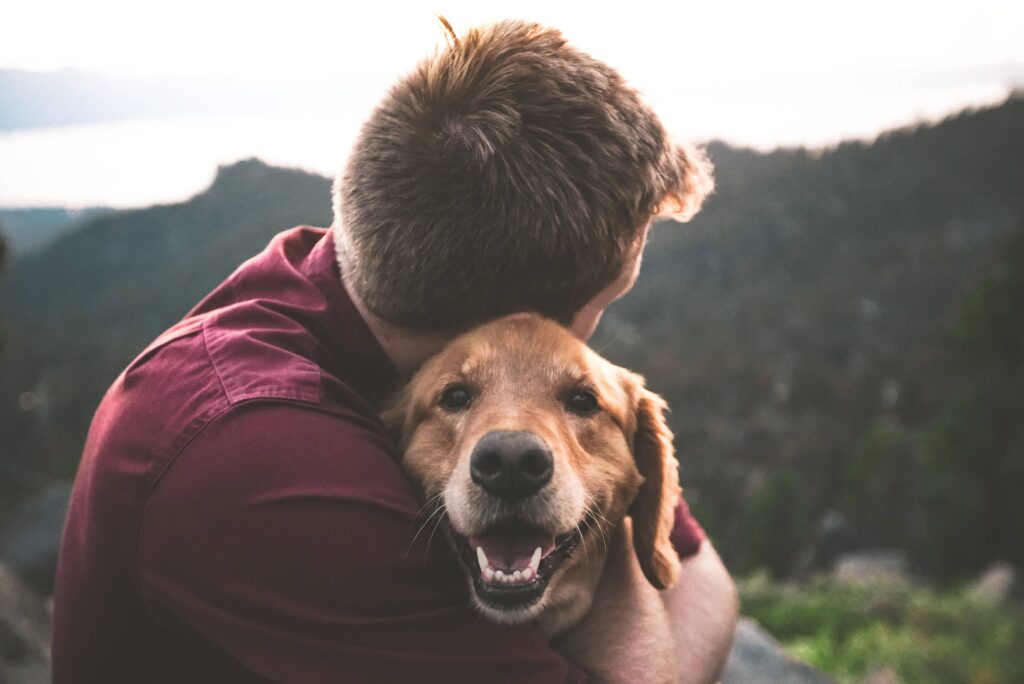 cane che soffre di ansia da separazione